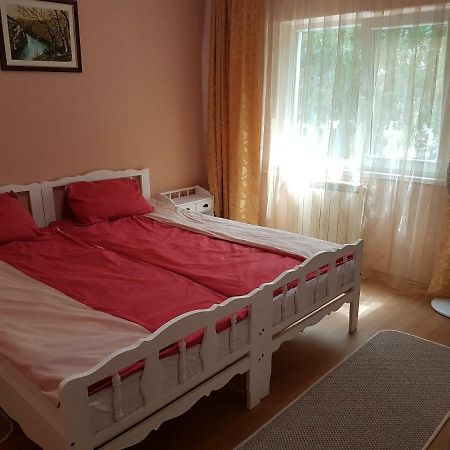 오라데아 Apartament Aura 아파트 외부 사진